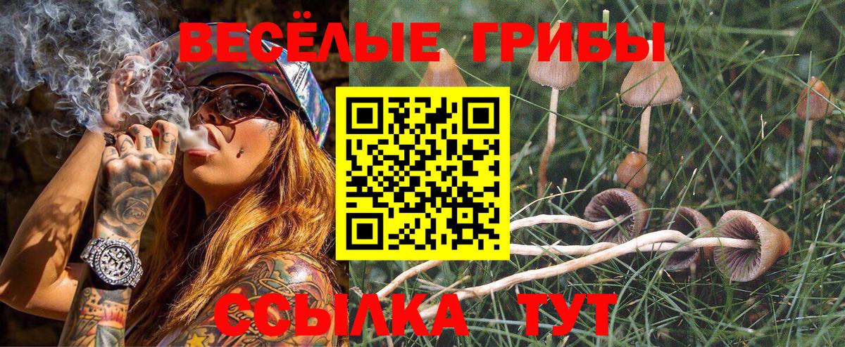 Партизанск  Галлюциногенные грибы мухоморы  Вход с VPN 